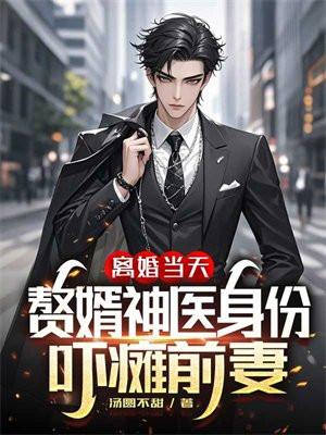 被离婚的神医赘婿