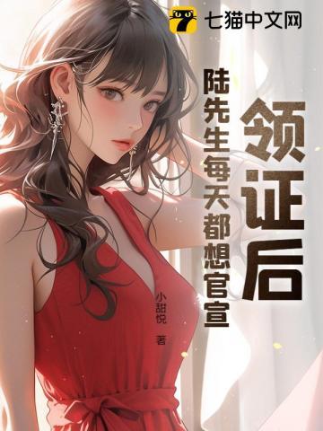 结婚后陆先生整天粘着我免费