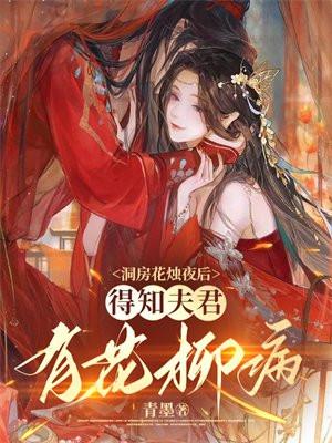 洞房花烛夜古风