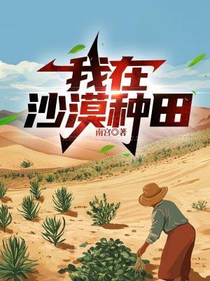我在沙漠之中
