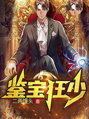 鉴宝狂少TXT免费