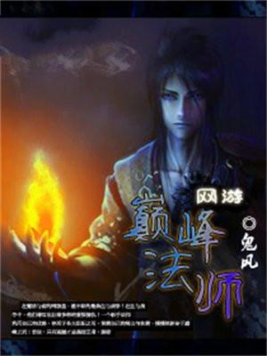 网游之巅峰法师全集
