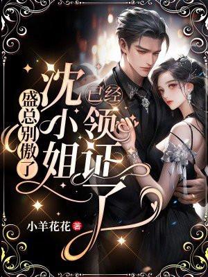 盛小姐的高冷总裁盛夏