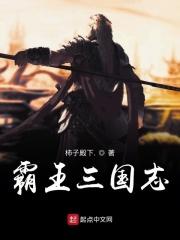 霸王三国志秘籍
