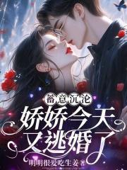 逃婚免费阅读