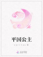 平西公主什么意思