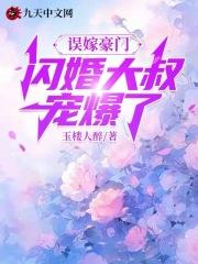 闪婚大叔宠爆了数据
