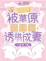 失忆后成了小白菜全文免费阅读