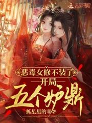 开局五个道侣电子书
