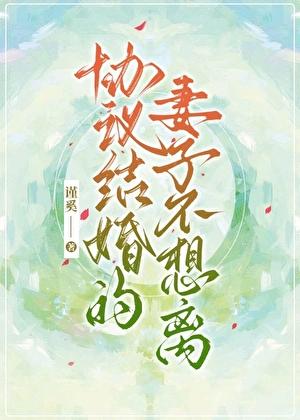 协议婚姻后离不掉了