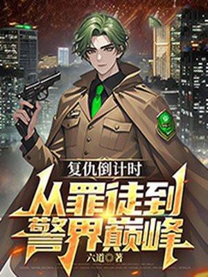 复仇续集