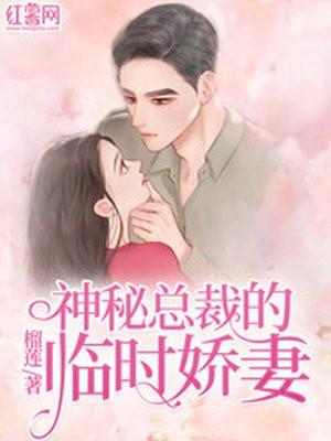 神秘总裁的宠妻全文免费阅读