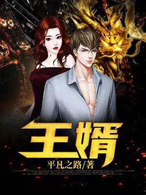 王婿叶凡全文免费阅读