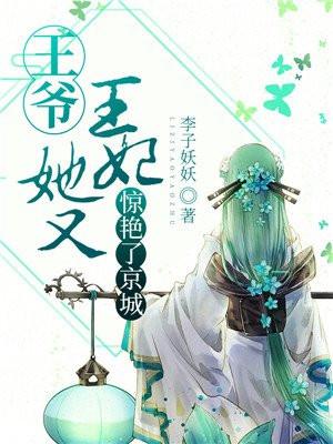 王妃又跑了穿越