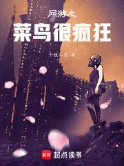 网游之菜鸟玩家 轩疯狂