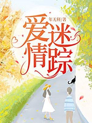 爱情迷踪泰剧电视剧剧情介绍结局