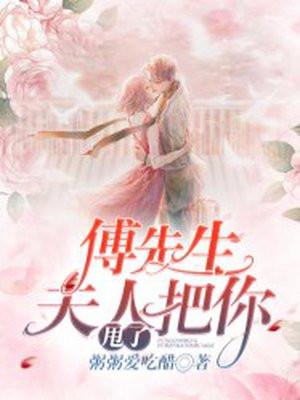 傅先生夫人她把你甩了