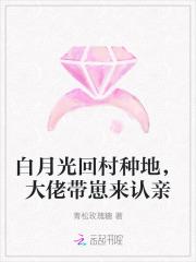白月光回来后我跑了