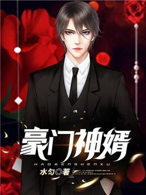 豪门神婿txt