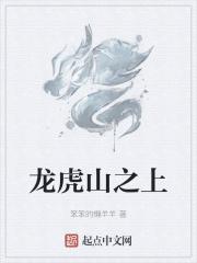 龙虎山上有贵人猜一生肖动物