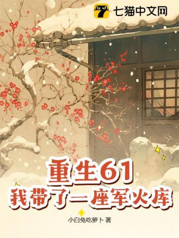 我带了一座军火库 我带了一座军火库