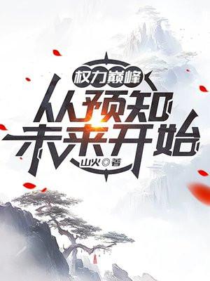 权力巅峰之后是哪部书