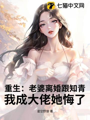 重生之老婆要离婚
