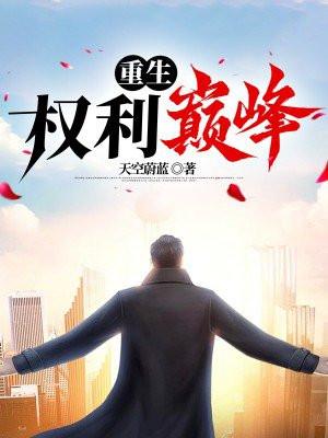 重生权利巅峰之官场风云