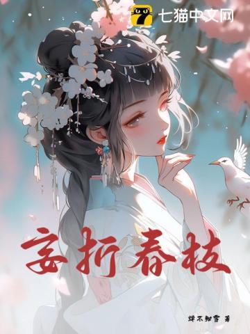 折梅妄惦