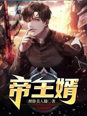 帝王婿萧天路