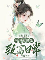 红楼荣国府姨娘致富日常 罗挽青