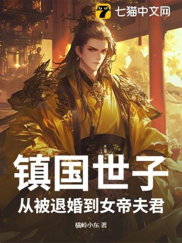 镇国夫人全文阅读