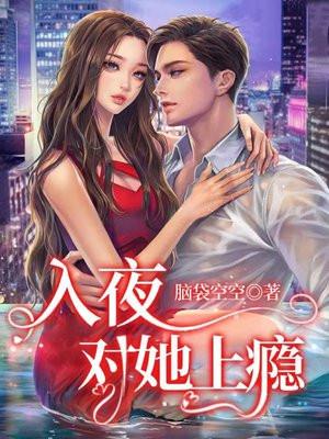 入夜狂飙是什么意思