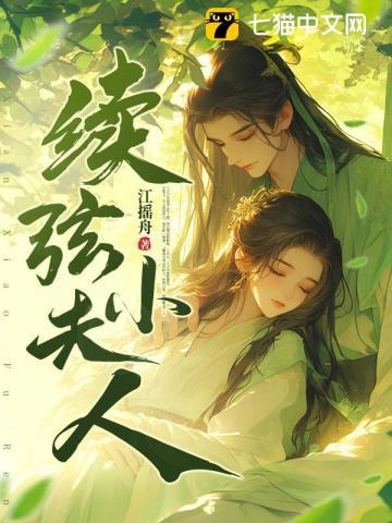 续弦小夫人最新章节更新时间与剧情介绍