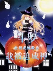 斗罗坐拥武魂殿后