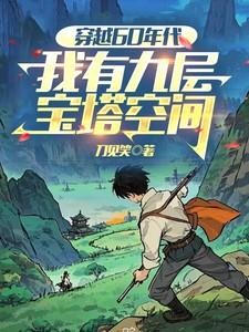 穿越60年代我有九层宝塔空间短剧
