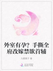 外室np文