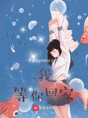 我等你回家英文翻译