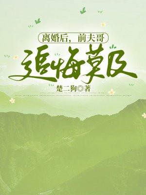离婚后前夫狂追的