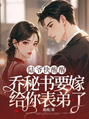 陆总乔乔是什么电视剧