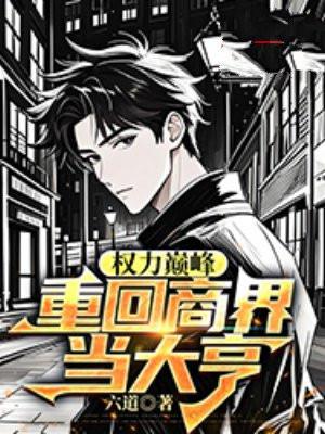 重生之权力巅峰