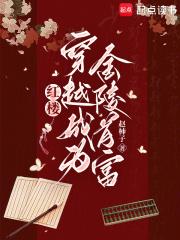 穿越红楼当亲王的 穿越红楼当亲王的