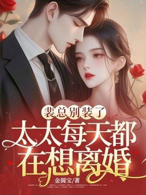 裴太太怎么这么忙免费阅读