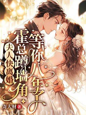 夫人快离婚