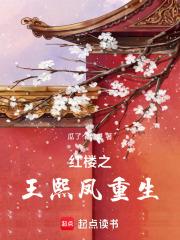 红楼之王熙凤重生全文免费阅读