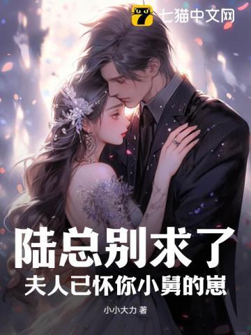 夫人已被宠上天阅读
