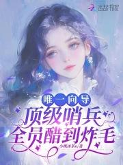 最好看的哨兵向导文