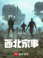 西北王家是什么人