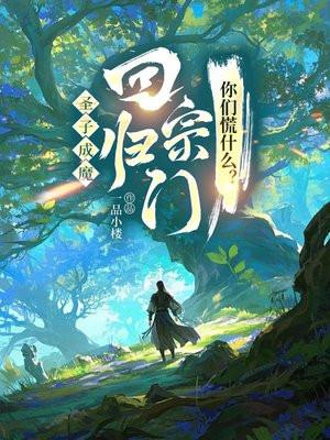 圣子到实力 圣子到实力