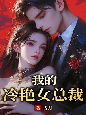 我的冷艳女总裁叶峰全文阅读